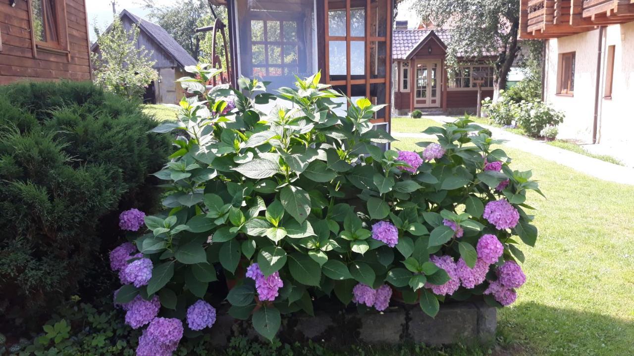 У Тарнавських Микуличин Екстериор снимка